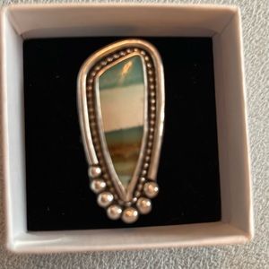 Sterling Silver Turquoise Petrified Wood Ring